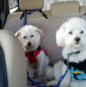 Meet your Posher, Nh